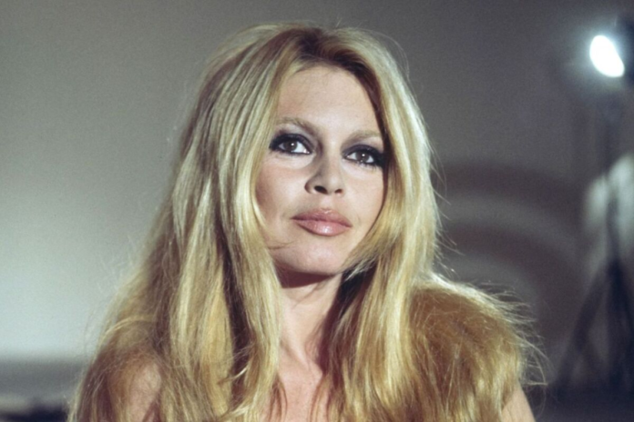 brigitte bardot fortune