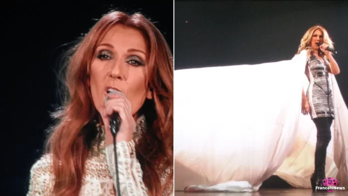 celine dion en concert, en deux photos, gros plan à Paris Bercy et grande cape blanche sur scène