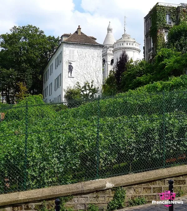 la rue des Saules et les vignes du Clos Montmartre, décor de la fete des vendanges de montmartre 2026