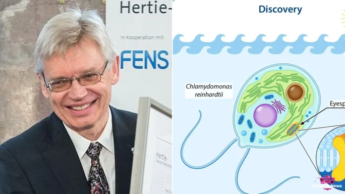 peter hegemann, portrait du lauréat, et l'algue verte où il a découvert les canalrhodopsines