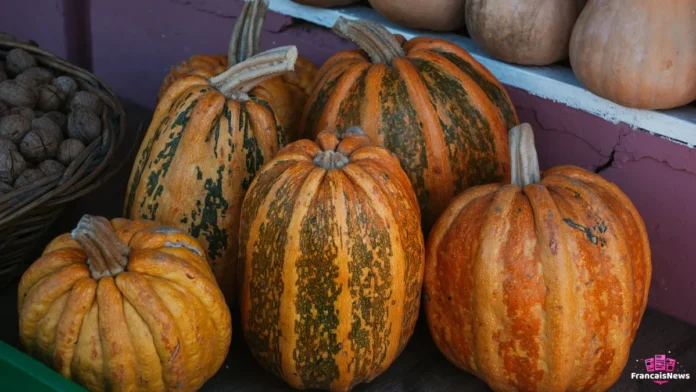 semaine du gout 2026 : courges et potirons d'automne sur un étal de marché